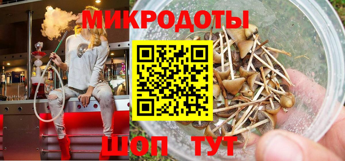 Галлюциногенные грибы Cubensis Аша