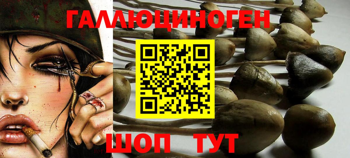 Галлюциногенные грибы мицелий  где продают наркотики  Вход с VPN  Аша  Псилоцибиновые грибы прущие грибы 
